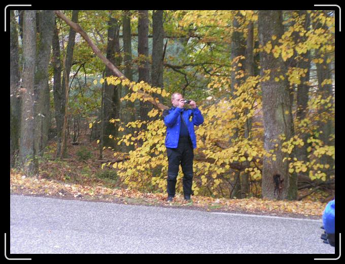 Nächstes Bild